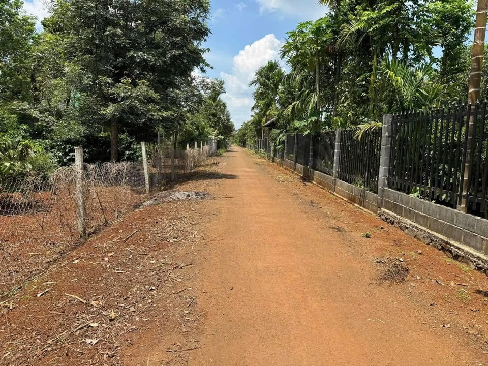 Đất nền liền kề Hòa Thắng, Buôn Ma Thuột 280m² giá 1 tỷ - Cơ hội đầu tư tuyệt vời!