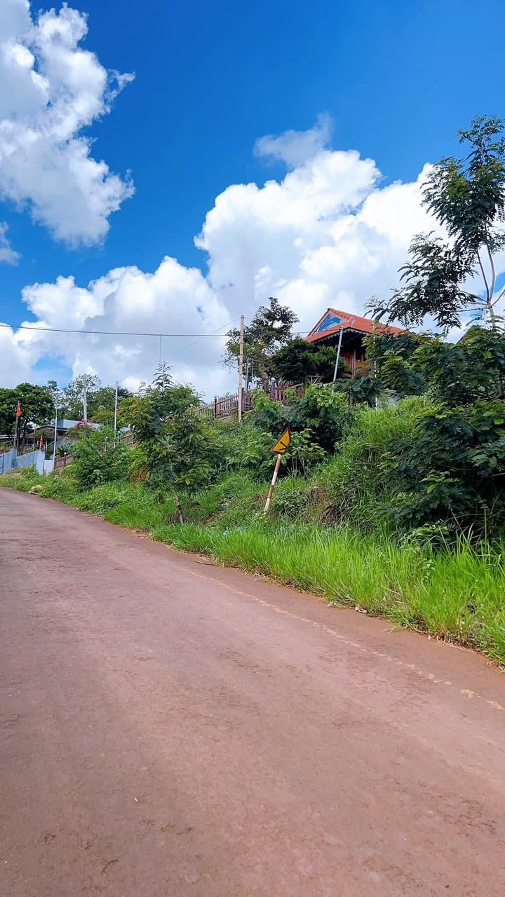 Đất mặt đường nhựa Tổ 5 phường Nghĩa Đức 400m² giá 1.25 tỷ - Sổ đỏ chính chủ