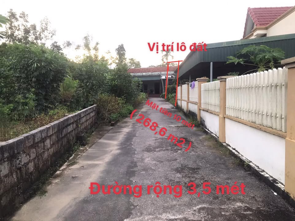 Đất nền thôn Bằng Xăm, Lê Lợi 268.6m² chỉ 1.6 tỷ - Mặt tiền 10m, chia lô dễ dàng!