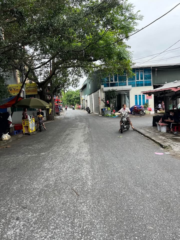 Đất nền Trưng Trắc 48.6m² giá 2 tỷ - Sở hữu ngay vị trí đắc địa gần Vinhomes Ocean Park!