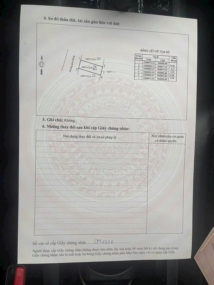 Đất nền 80m² Tầm Vông Phong Châu giá 1.1 tỷ - Đầu tư sinh lời ngay!