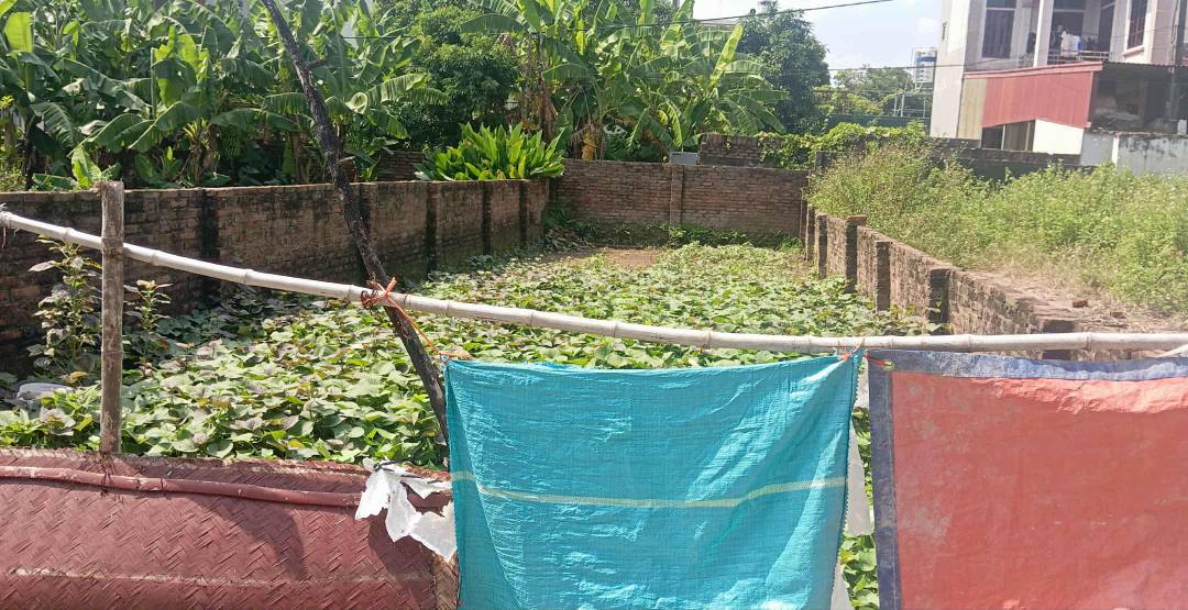 Đất nền Nguyên Khê Đông Anh 110m² giá 6 tỷ - Vị trí vàng đầu tư sinh lời!