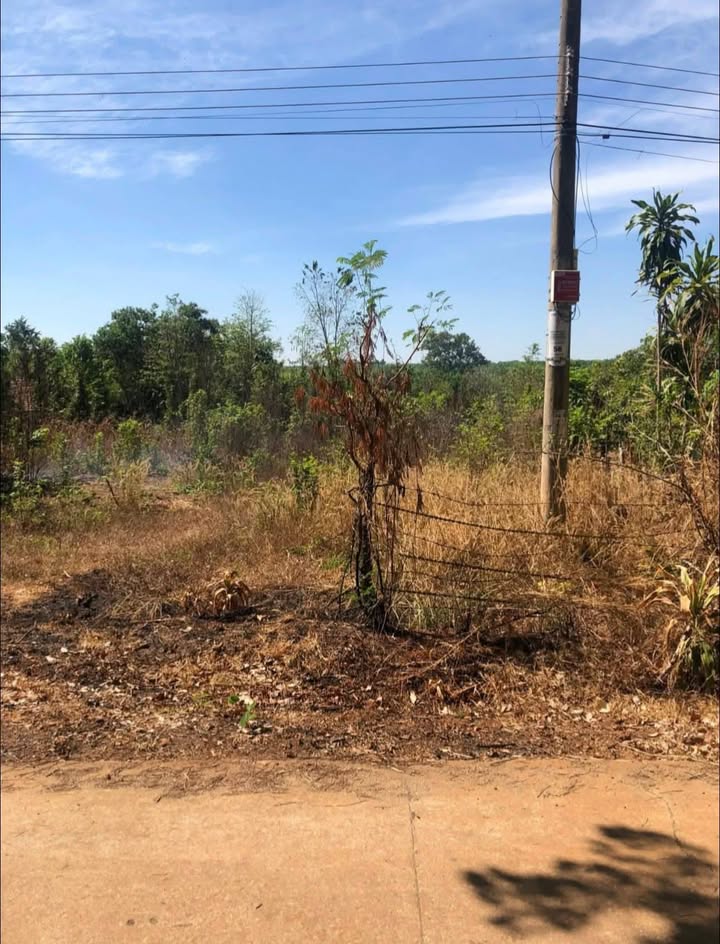 Đất nền Thanh An Hớn Quản 3600m² giá 400 triệu - Mặt tiền đường thông rộng rãi!