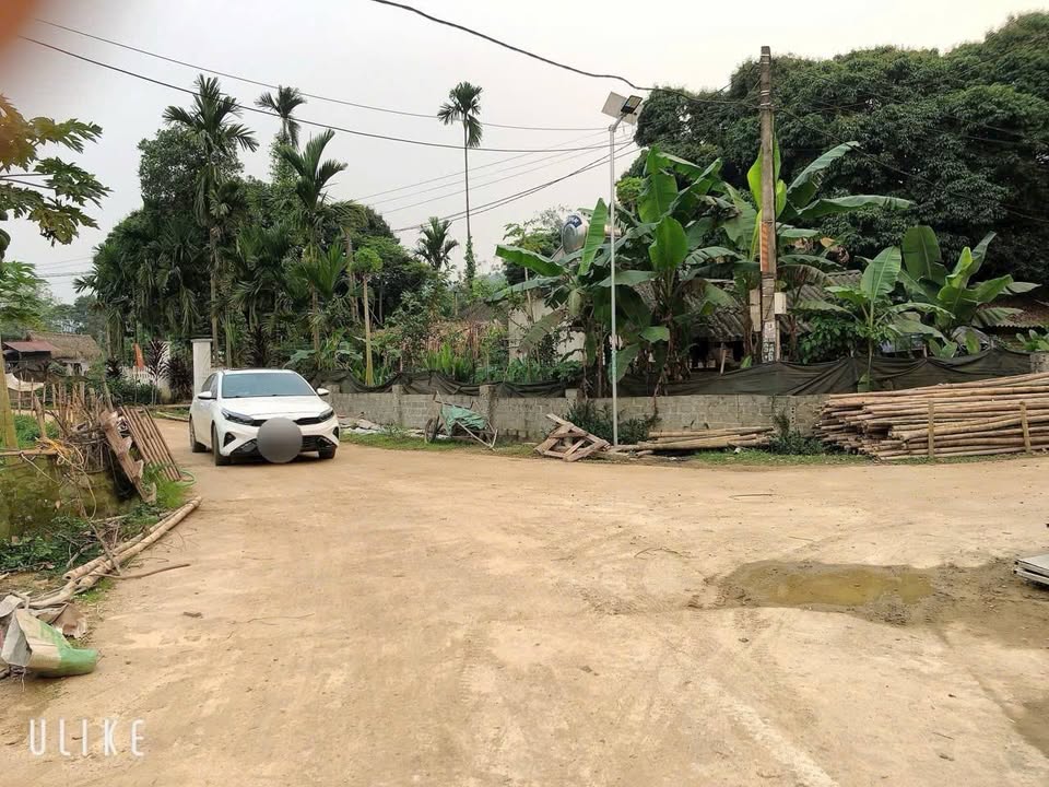 Đất nền Ngọc Lặc Thanh Hóa 2000m² giá 500 triệu - Đường bê tông thông thoáng!