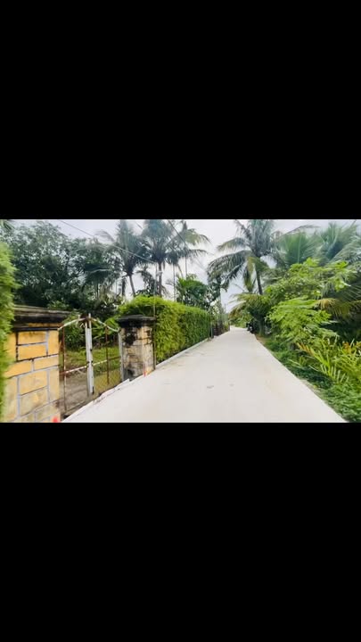 Đất nền Cẩm Thanh, Hội An 767m² - Đầu tư sinh lời tuyệt vời!