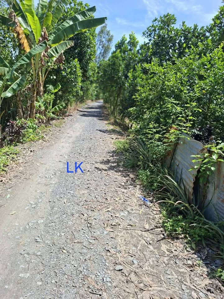 Đất lúa 9.000m² tại xã Ba Sao, Đồng Tháp giá 2.07 tỷ - Tiềm năng canh tác cao!