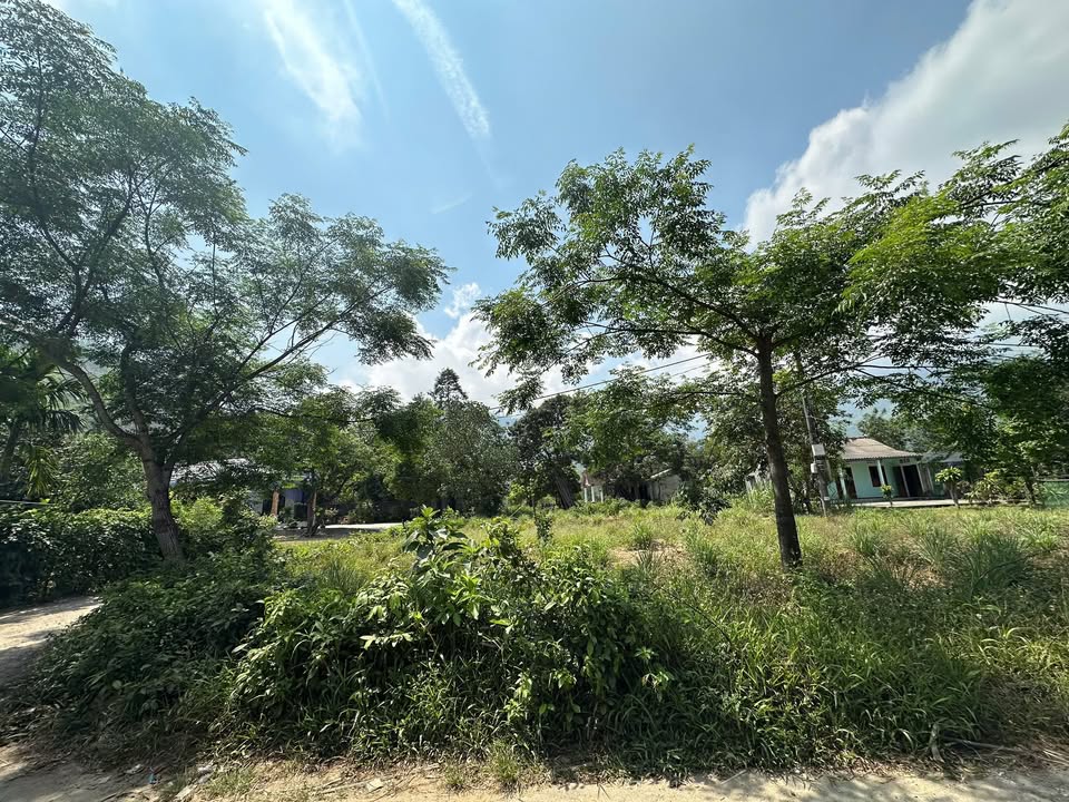 Đất thổ cư Hói Dừa, Lăng Cô 992m² giá 2 tỷ - Đầu tư sinh lời tiềm năng!