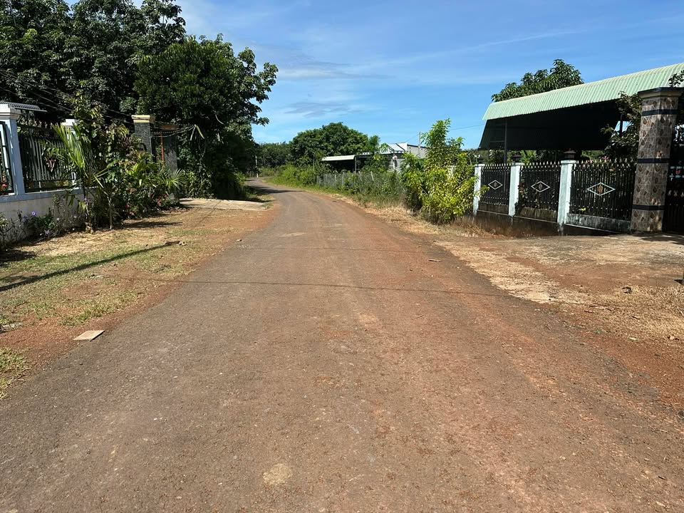 Đất Farm 14400m² tại Ấp 1, Bù Đốp giá 750 triệu - Đầu tư lý tưởng!