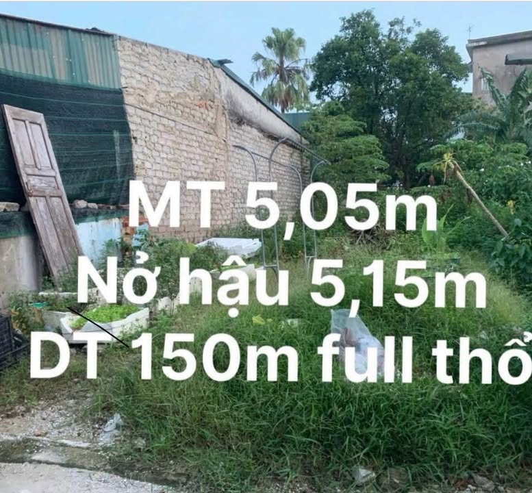 Đất thổ cư Tân Phong 150m² giá 1.1 tỷ - Gần chợ Lưu Vệ, cơ hội đầu tư tuyệt vời!