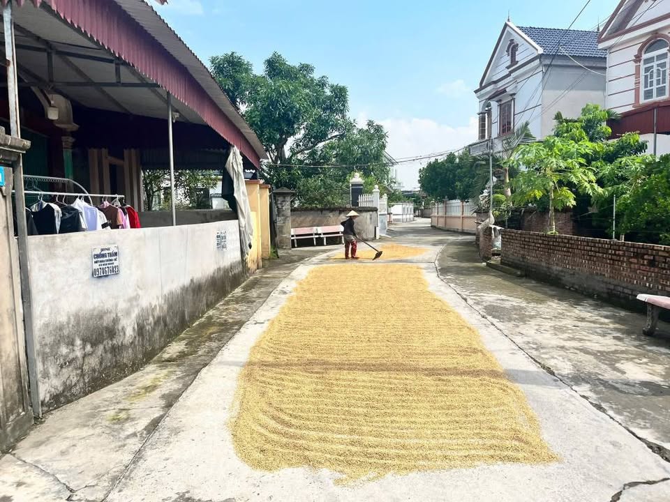 Biệt thự An Lâm 141m² giá 1 tỷ - Đầu tư sinh lời cao!