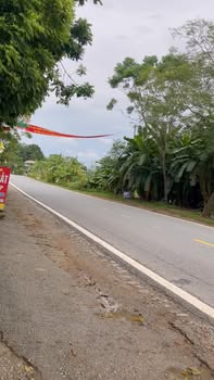 Đất nền dự án Cụm CN Phú Hộ 135m² giá chỉ từ 700 triệu - Cơ hội đầu tư hấp dẫn!