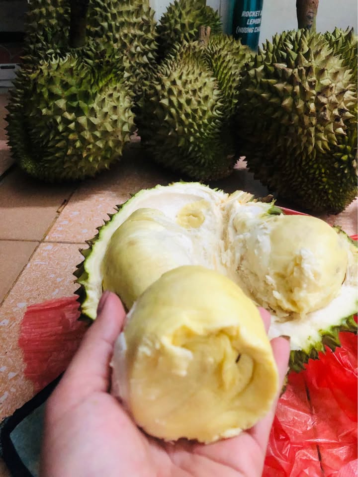 Nhà cấp 4 mặt tiền đường Phùng Hưng, Đà Nẵng 90m² giá 5.6 tỷ - Cơ hội đầu tư tuyệt vời!