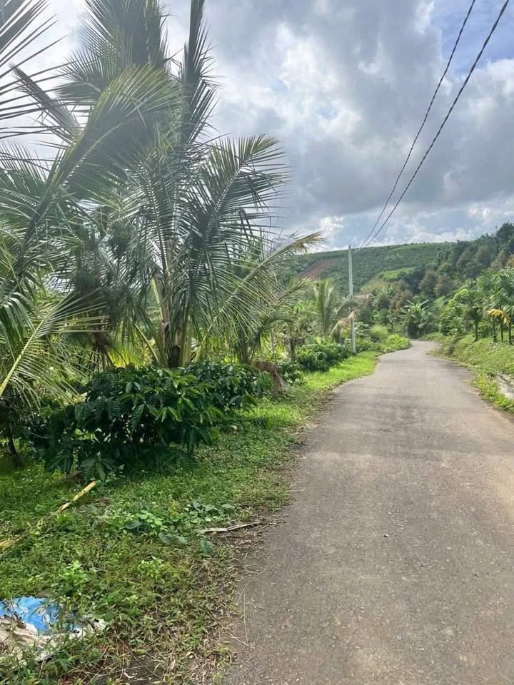 Đất nền Lộc Đức Bảo Lâm 300m² giá 250 triệu - Cơ hội đầu tư tuyệt vời!