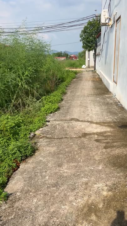 Đất thổ cư Lạc Xá, Quế Tân 85m² giá 1 tỷ - Cơ hội đầu tư hấp dẫn!