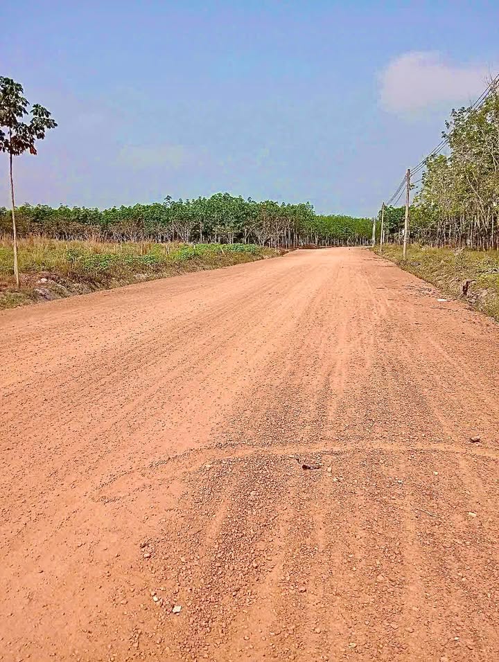 Đất nền Minh Tân Dầu Tiếng 125m² giá 400 triệu - Tiềm năng phát triển cao!