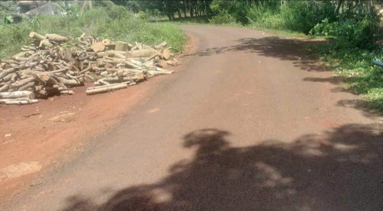 Đất nền Long Bình Phú Riềng 490m² giá chỉ 300 triệu - Đầu tư sinh lời ngay!