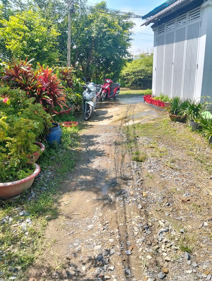 Đất nền 75m² xã Mỹ Hạnh Nam, Đức Hòa giá 1.1 tỷ - Cơ hội đầu tư hấp dẫn!