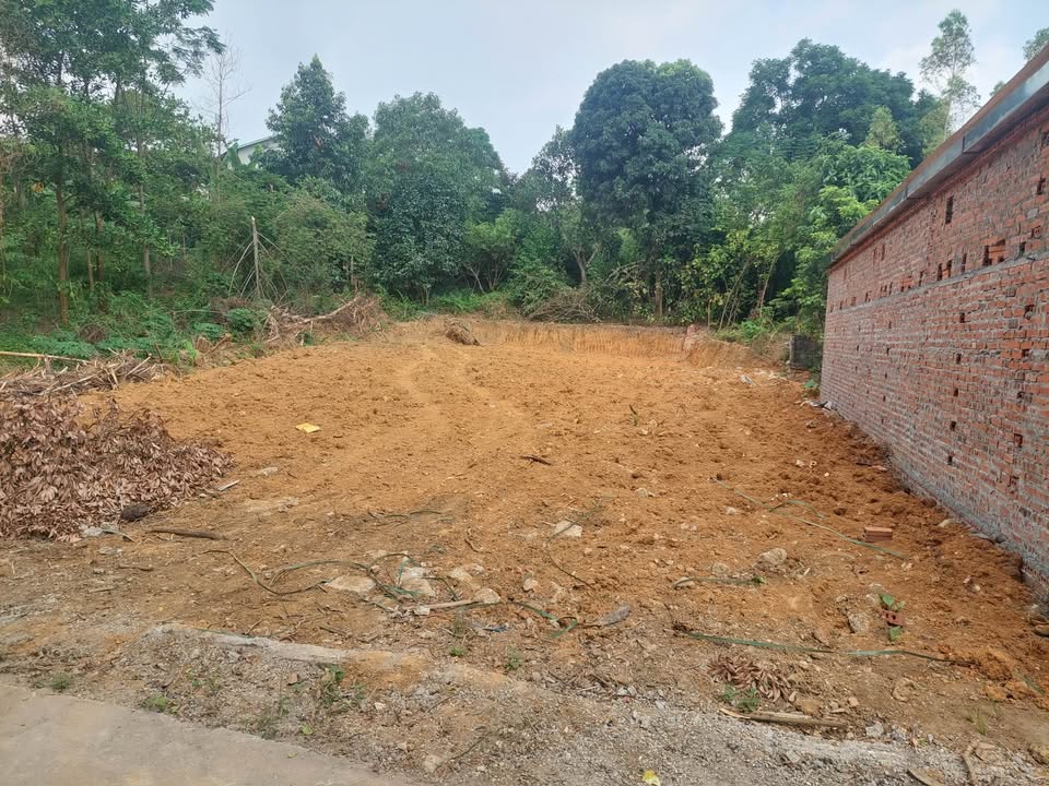 Đất nền Phường Phong Châu 400m² giá 2 tỷ - Mặt tiền đường bê tông thông