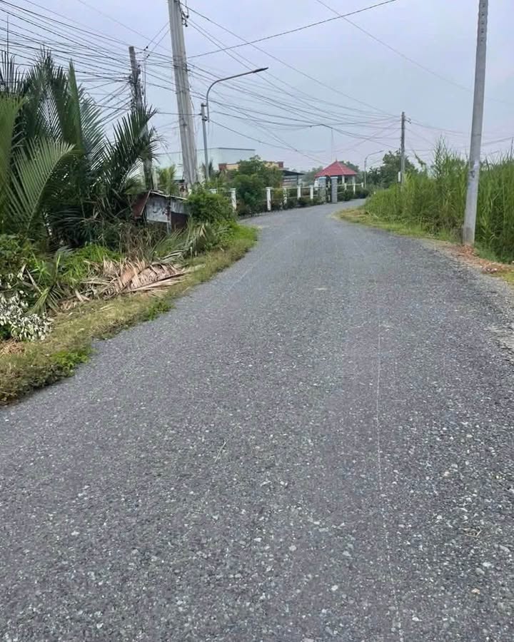 Đất thổ cư Cần Đước Long An 300m² giá 1.7 tỷ - Sổ hồng riêng, đường nhựa rộng rãi!