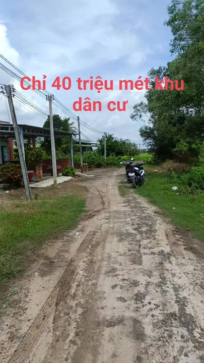 Đất thổ cư 232m² tại Long Thuận, Bến Cầu chỉ 325 triệu - Cơ hội đầu tư tuyệt vời!