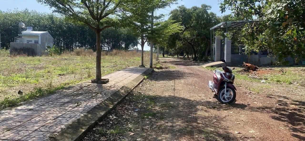 Đất nền trục chính Tô 25 Đồng Phú 1898m² - Giá cả thương lượng linh hoạt!