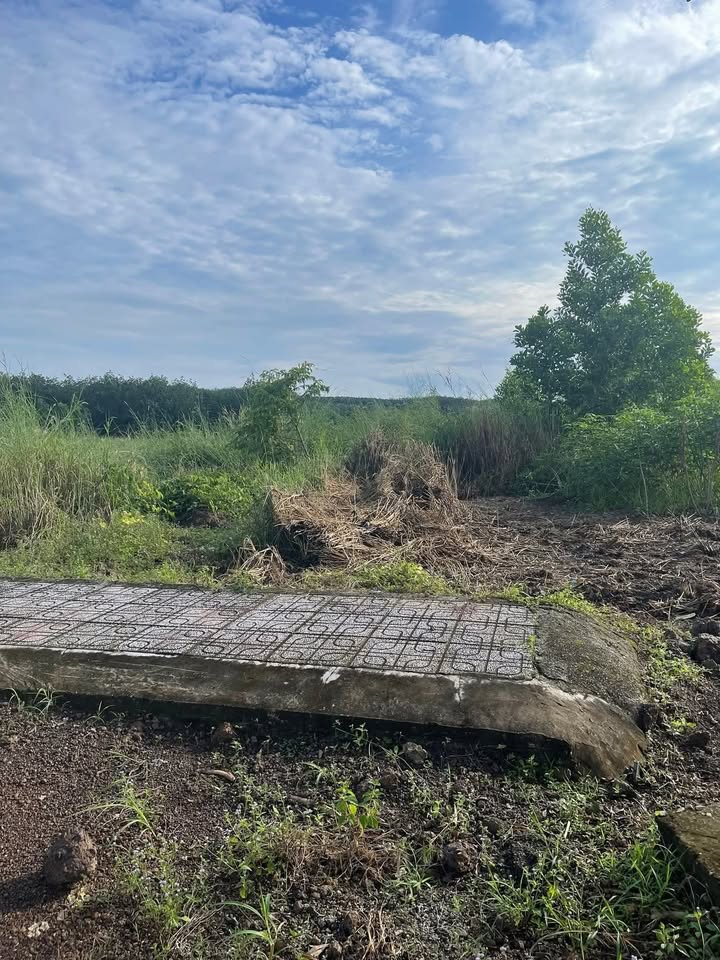 Đất nền Tô 25, Đồng Phú, 11388m² giá 560 triệu - Cơ hội đầu tư tuyệt vời!