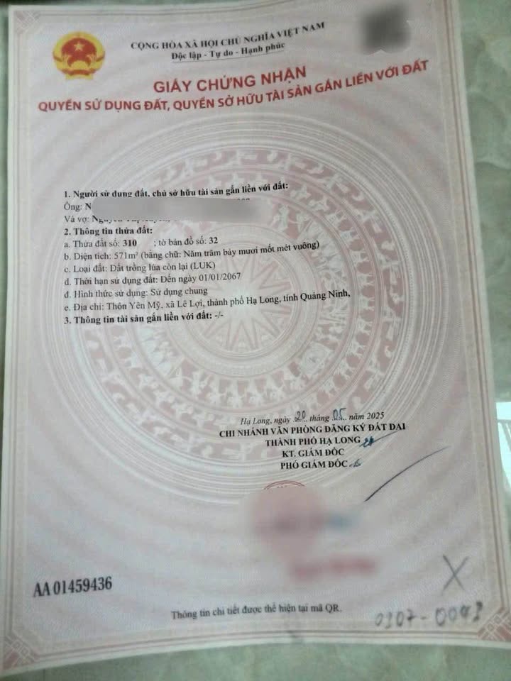 Đất nền chính chủ tại Lê Lợi, Hạ Long 571m² giá 285 triệu - Đầu tư sinh lời!