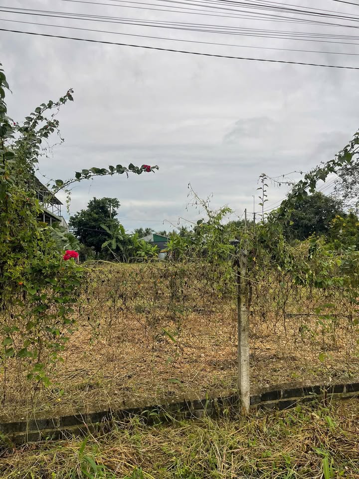 Đất thổ cư Tâm Thắng Cư Jút 500m² giá 800 triệu - Sổ đỏ chính chủ!