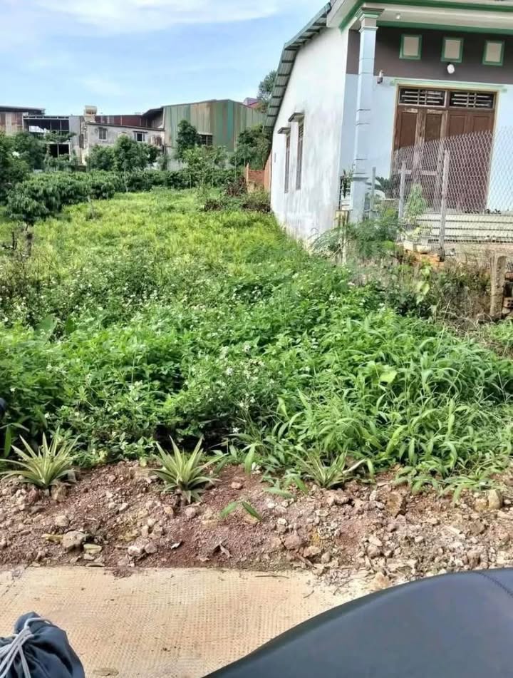 Đất nền Đức Mạnh 500m² giá chỉ 5.85 tỷ - Cơ hội đầu tư tuyệt vời!