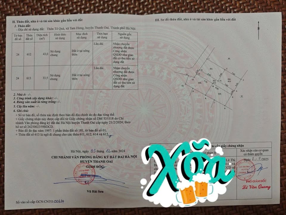 Đất nền chính chủ Tế Quả, Tam Hưng 43m² giá 2.9 tỷ - Tiềm năng tăng giá mạnh!