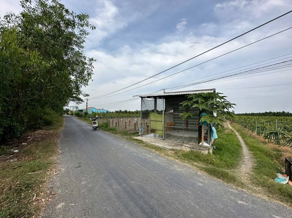 Đất mặt tiền nhựa 6m tại Tân Thuận Bình, Chợ Gạo - 1500m² giá 2.1 tỷ - Cơ hội đầu tư hấp dẫn!