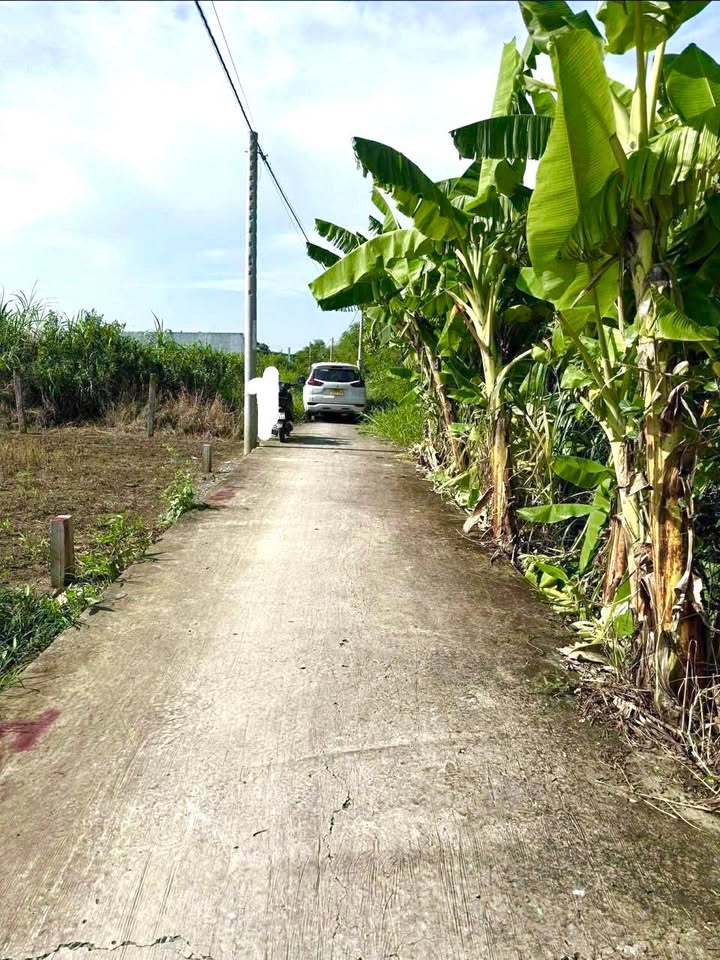 Đất nền liền kề Khu Phố Thuận Hoà, Long Thuận 300m² giá 940 triệu - Đầu tư sinh lời ngay!