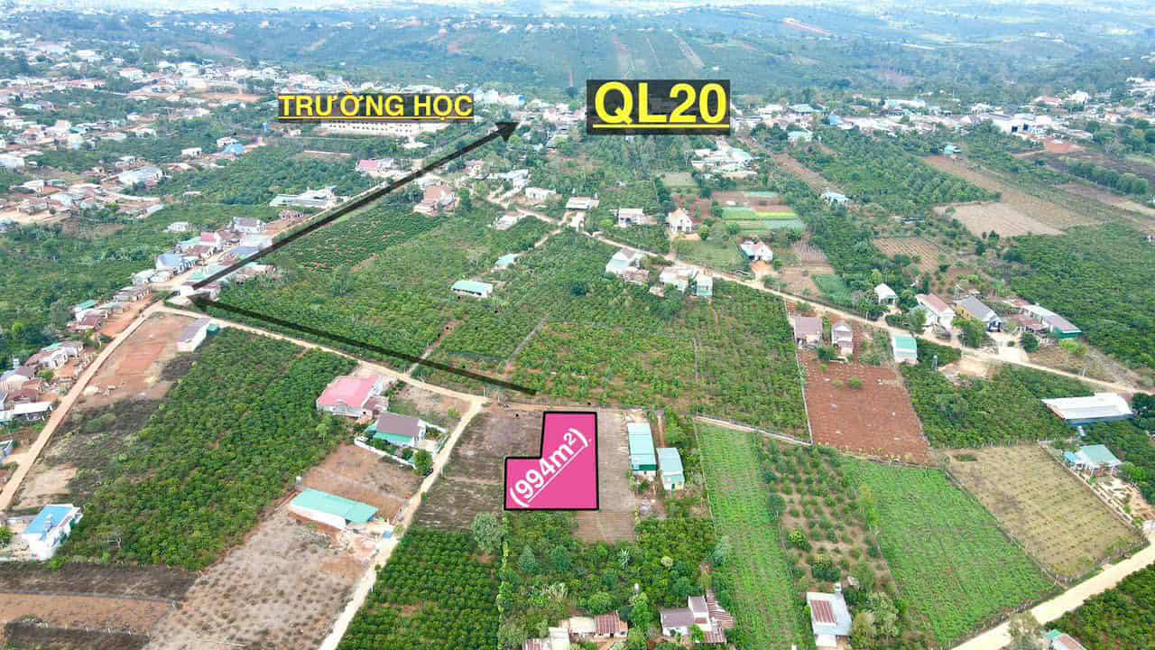 Đất đinh lạc Di Linh 1000m² giá 2 tỷ - Đầu tư tiềm năng tại Lâm Đồng!