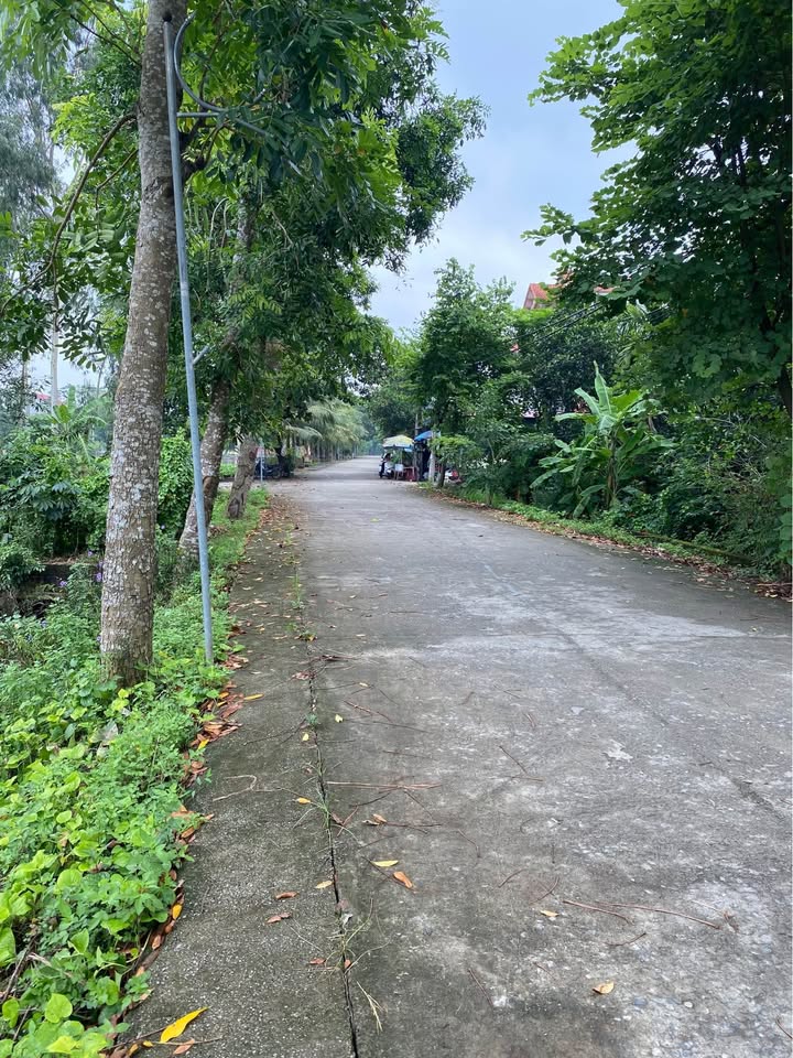 Đất nền Hợp Lý, Lý Nhân, Hà Nam 125m² giá 1.2 tỷ - Lô góc duy nhất đầu tư sinh lời!