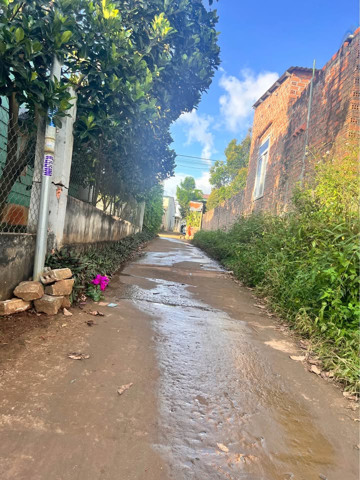 Đất hẻm Bùi Viện Pleiku 112m² giá 400 triệu - Cơ hội đầu tư sinh lời!