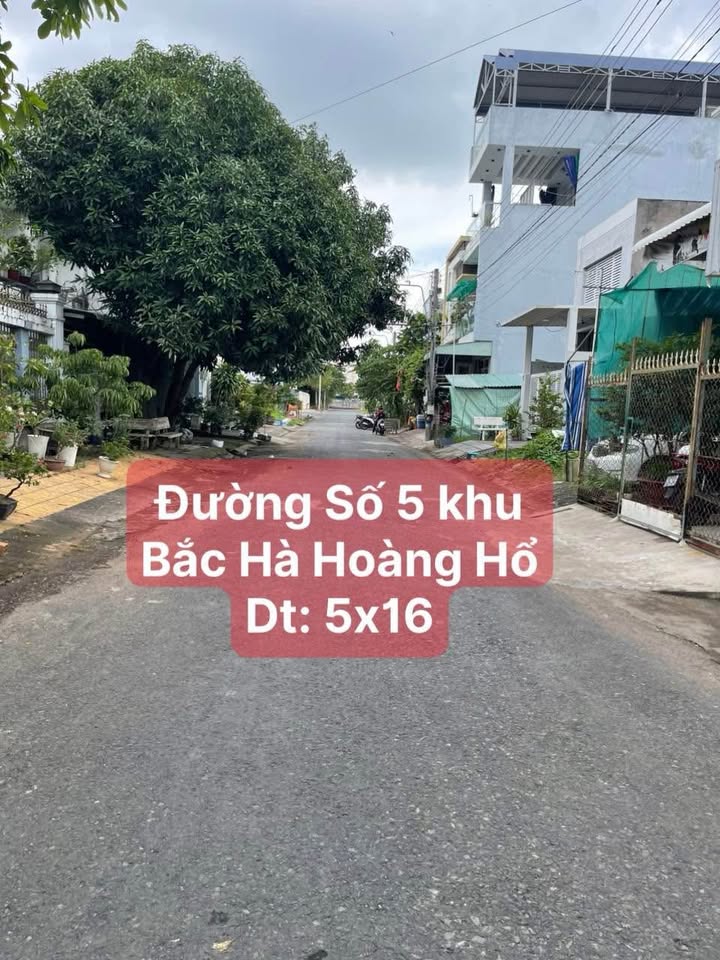 Đất nền đường số 5, phường Mỹ Hoà, An Giang 80m² giá 2.3 tỷ - Cơ hội đầu tư hấp dẫn!