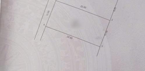 Đất nền 253m² Mai Đình - Nở hậu, giá chỉ 7.59 tỷ - Cơ hội đầu tư hấp dẫn!