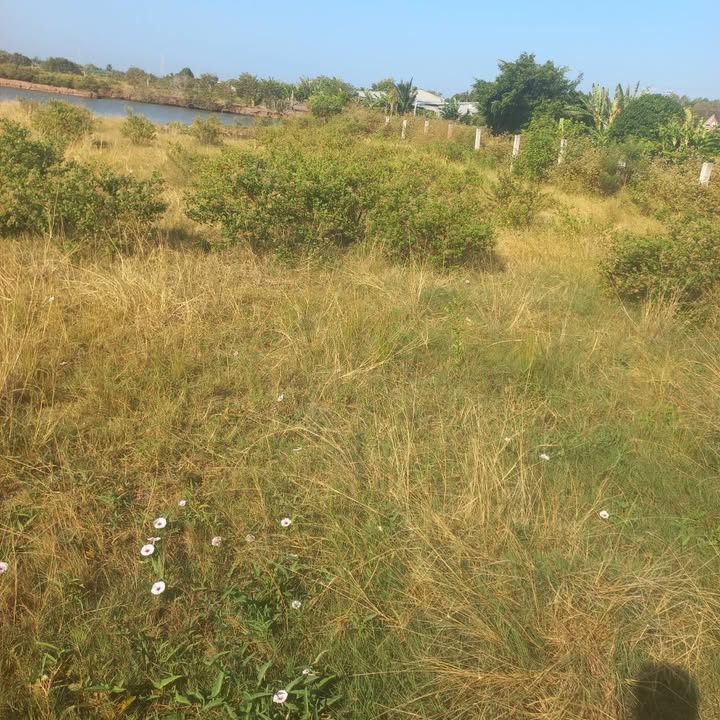 Đất nền 640m² tại Ấp Giồng Trôm, xã Long Toàn - Giá chỉ 1.1 tỷ, đầu tư sinh lời!