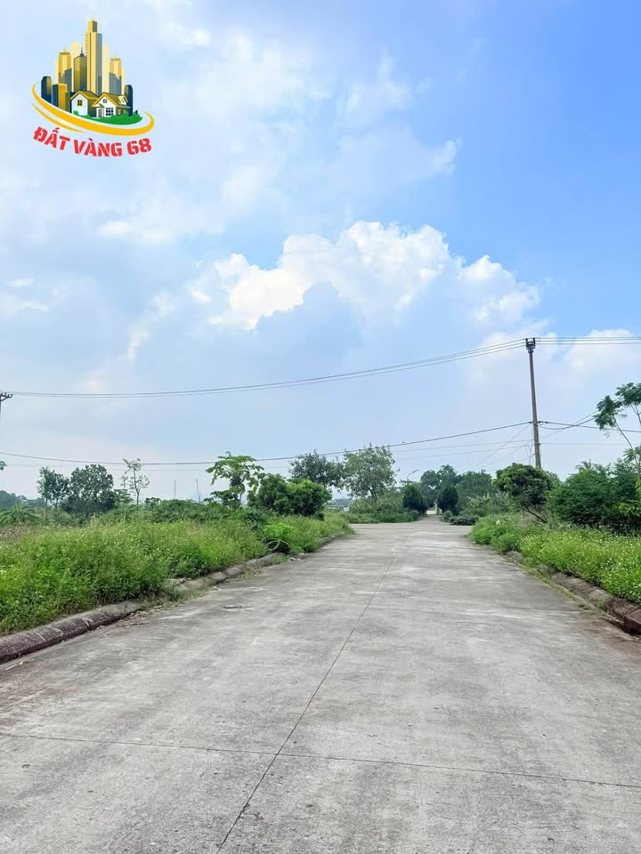 Bán lô đất nhà vườn ngõ 276 Phạm Thận Duật, Hoa Lư, Ninh Bình - Diện tích 442,8m² - Giá tốt, pháp lý rõ ràng!