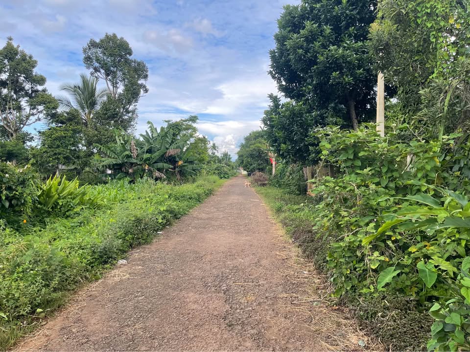 Đất thổ cư 285m² đường Komleo, Hòa Thắng - Giá hấp dẫn 1.38 tỷ!