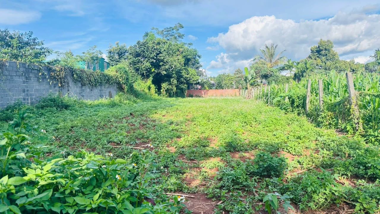 Đất xây biệt thự Hẻm Nguyễn Xuân Nguyên 812m² giá 3.5 tỷ - Vị trí tiềm năng phát triển!