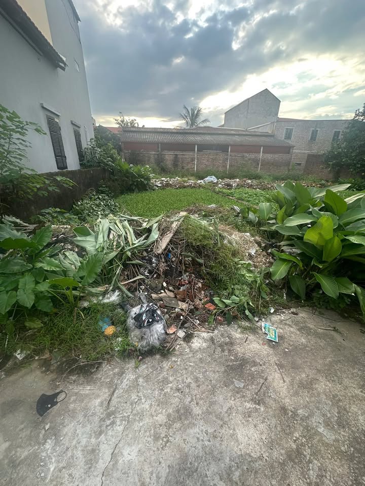 Đất nền 110m² phường Trung Châu, Đan Phượng - Giá tốt, mặt tiền rộng 6m!