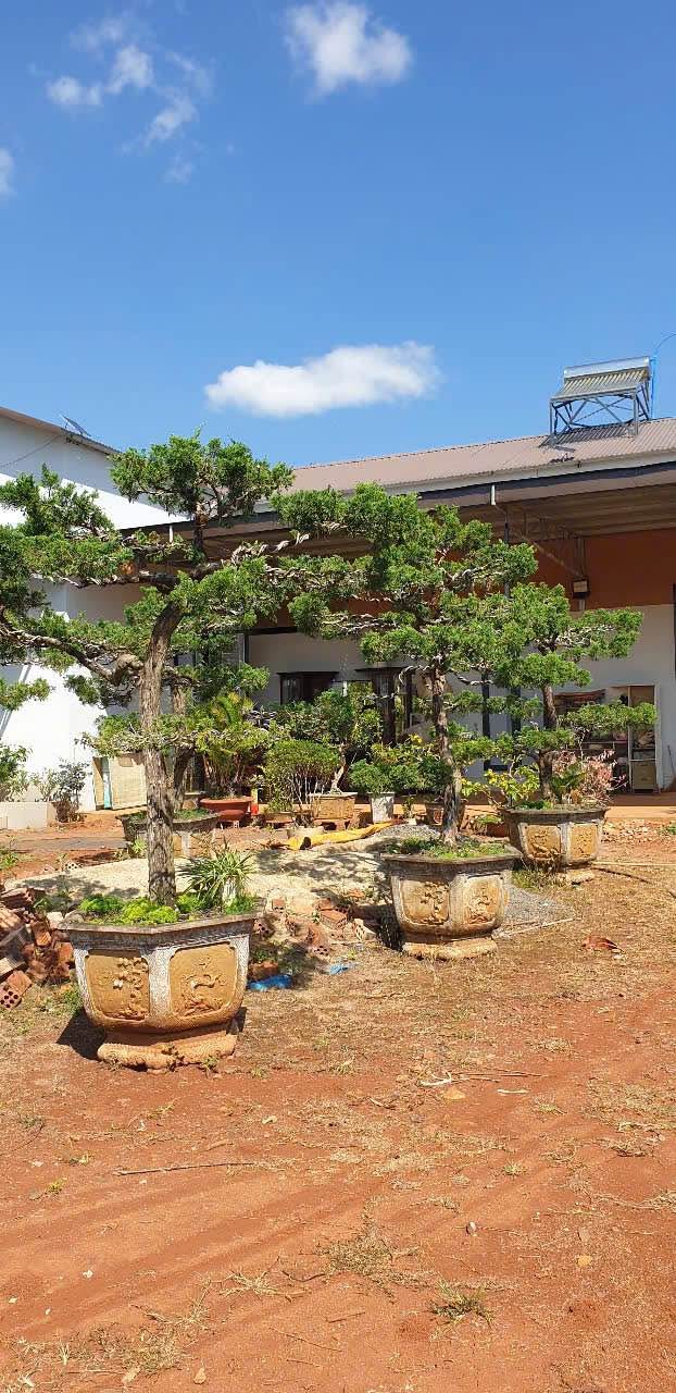 Nhà đẹp tại Phường Lộc Sơn, Bảo Lộc 1850m² giá 6.5 tỷ - Thiết kế hiện đại, vào ở ngay!