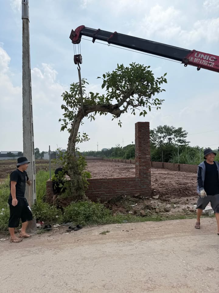 Bán đất nhà vườn và nhà xưởng tại Vân Côn, Hoài Đức - 595m² chỉ 3.57 tỷ!