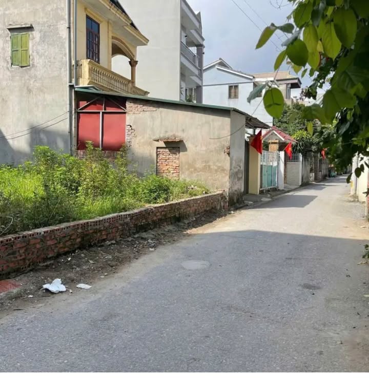 Đất nền Phúc Lợi, Long Biên 100m² giá 8 tỷ - Đầu tư sinh lời ngay!