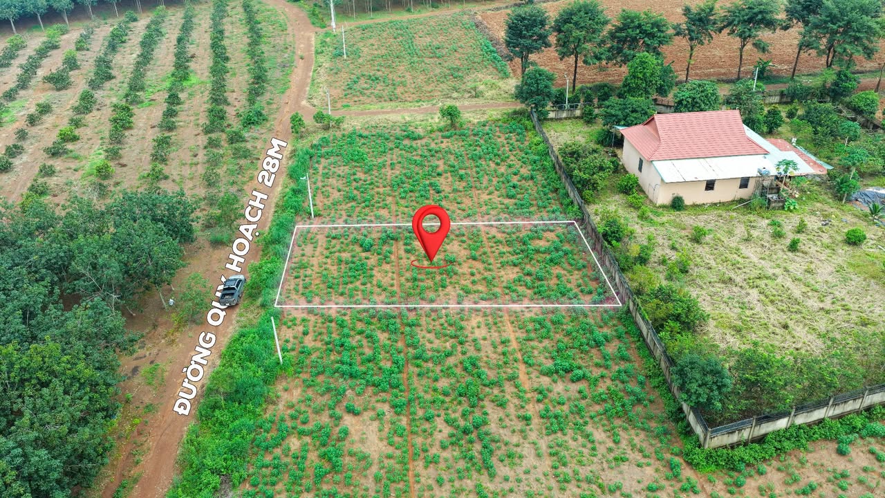 Đất nền Tân Xuân, Đồng Xoài 175m² giá chỉ 380 triệu - Cơ hội đầu tư tuyệt vời!