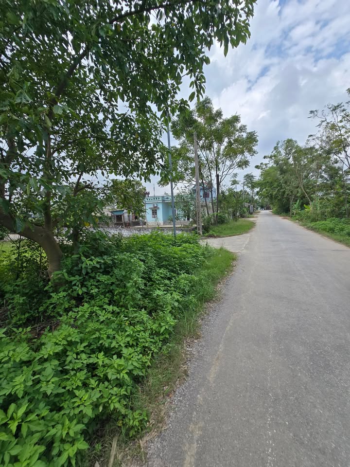 Đất nền Trung Chính Nông Cống 130m² giá 5xx triệu - View sông tuyệt đẹp!