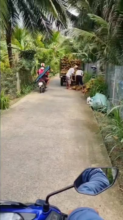 Đất nghỉ dưỡng 2160m² tại Bình Trưng, Tiền Giang - Giá chỉ 2 tỷ VND!