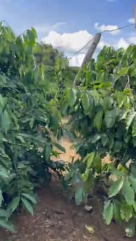 Đất nền phường Ea Khal, Ea H'leo 18.000m² giá 3.6 tỷ - Đầu tư sinh lời cao!