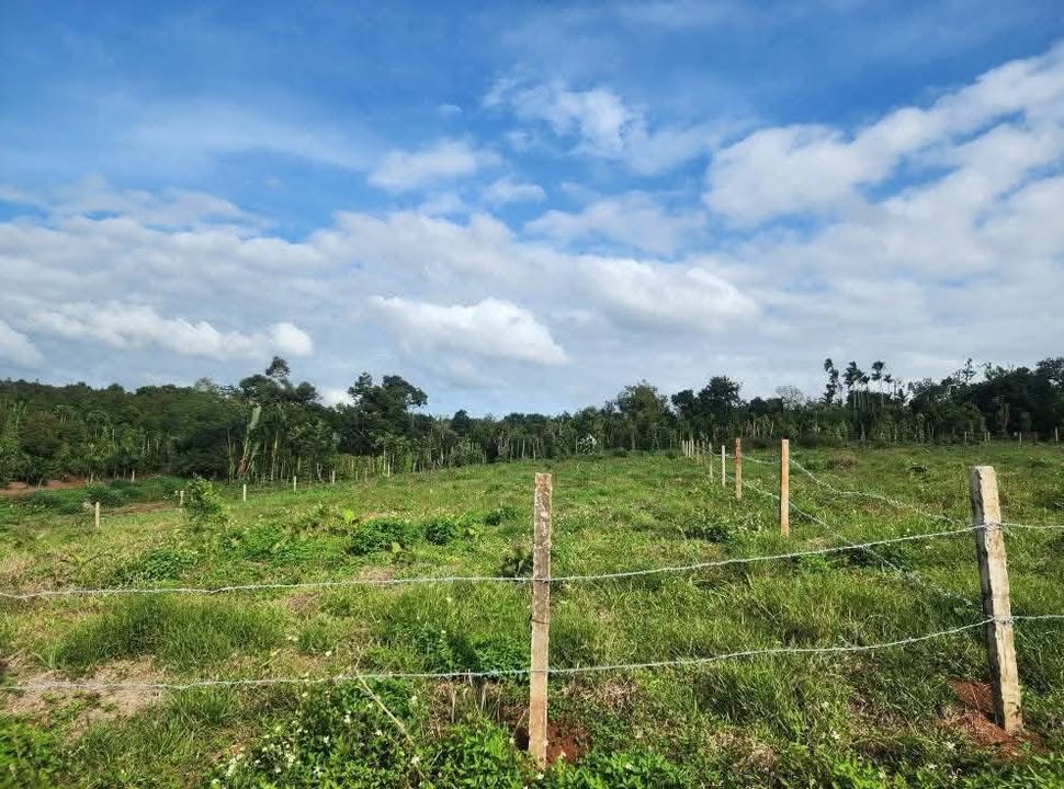 Đất nền Buôn Hồ 2000m² giá 1.65 tỷ - Tiềm năng phát triển lớn!